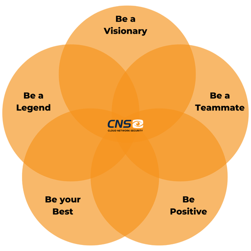 CNS values